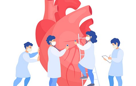 The diseased aortic valve: how it can be treated