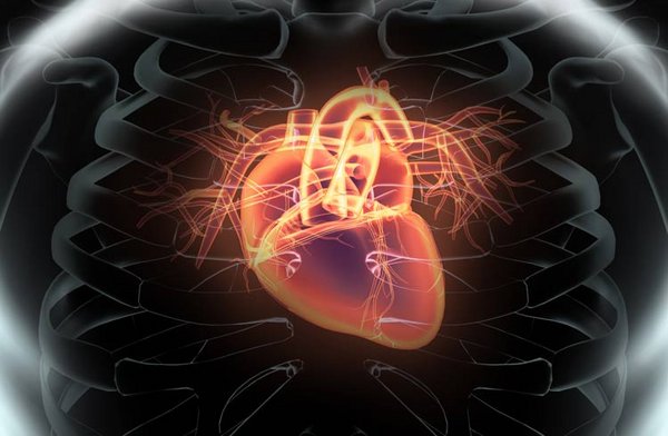 Herzklappenerkrankungen – neue minimalinvasive Therapien